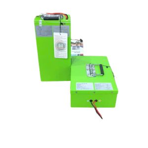 Pin Lithium 48V 15Ah xe điện